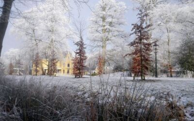 Openstelling tijdens kerstvakantie